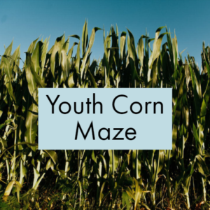 Youth Corn Maze