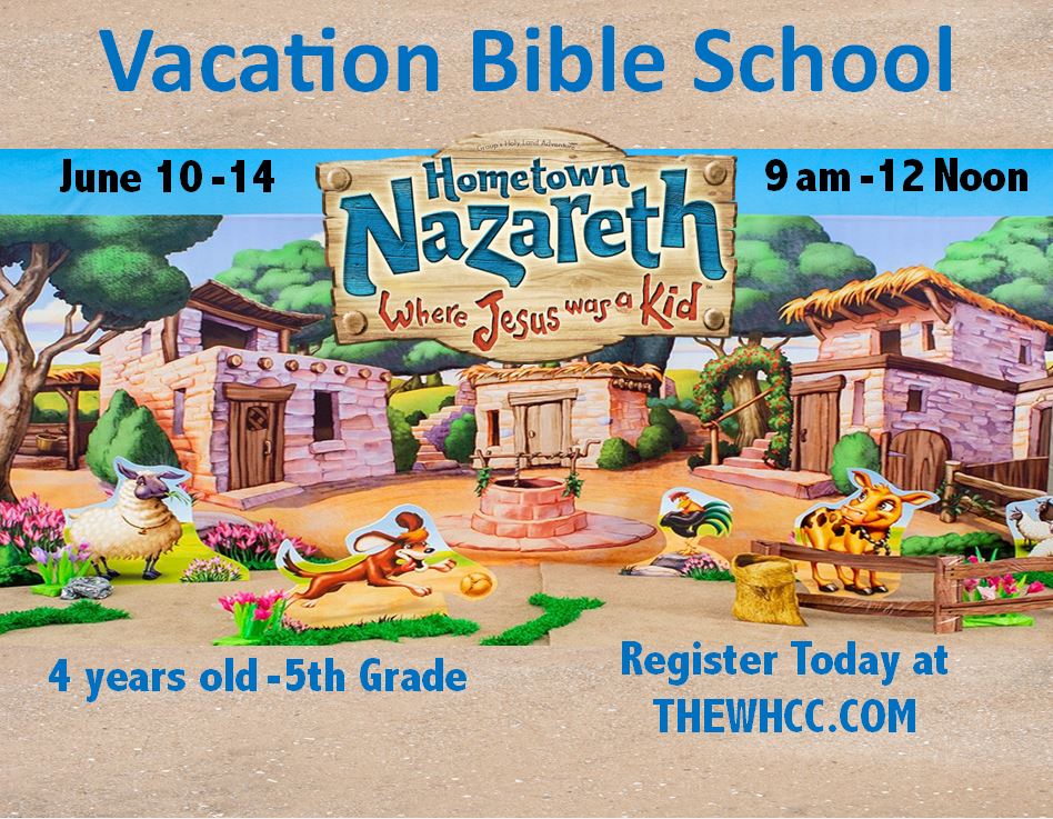 VBS 2024 and Wilderness camp